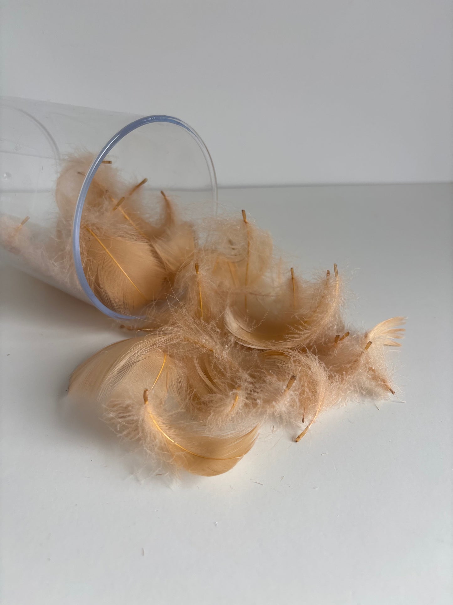 Plumes
