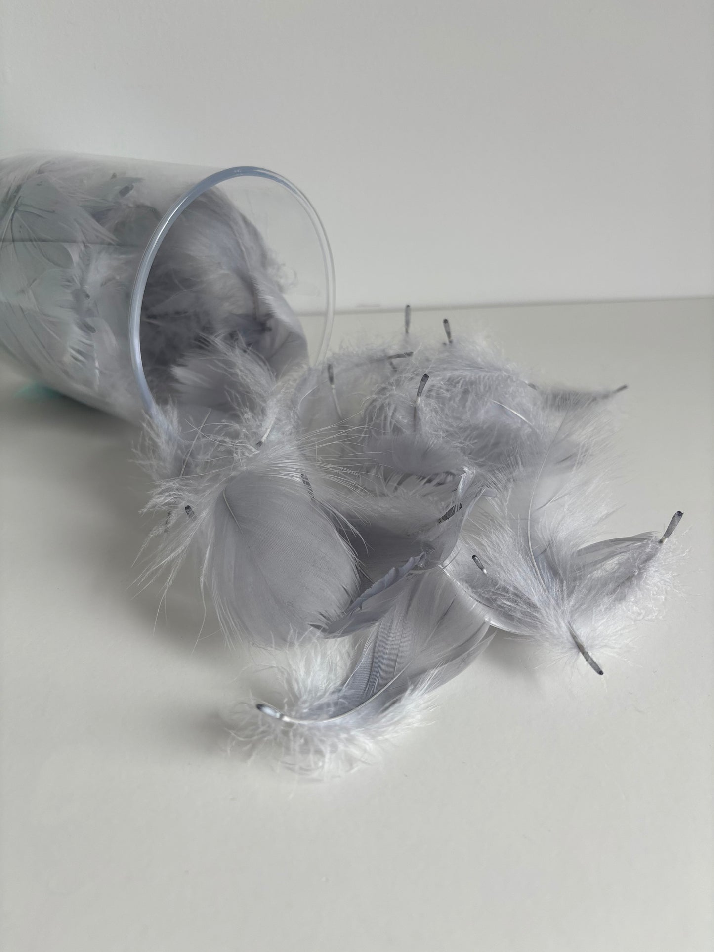 Plumes