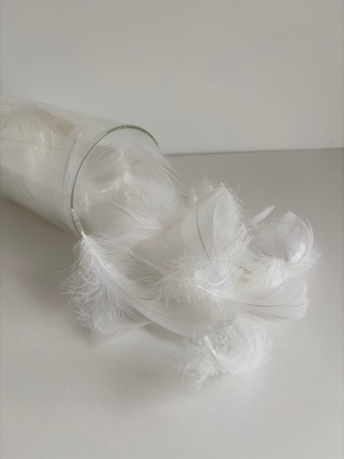 Plumes