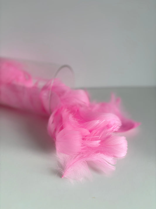 Plumes